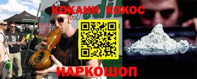 индика Гатчина