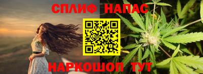 индика Гатчина