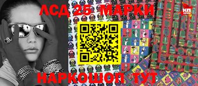 индика Гатчина