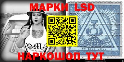 индика Гатчина