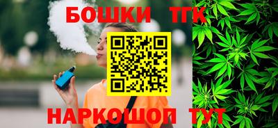 индика Гатчина