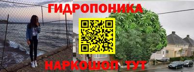 сатива Беслан