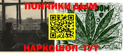 индика Гатчина