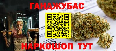 крисы Гагарин