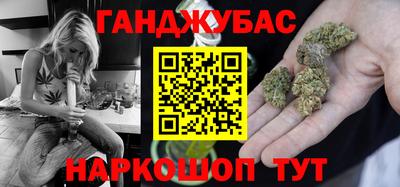 индика Гатчина