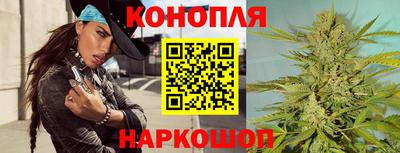 крисы Гагарин