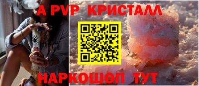крисы Гагарин