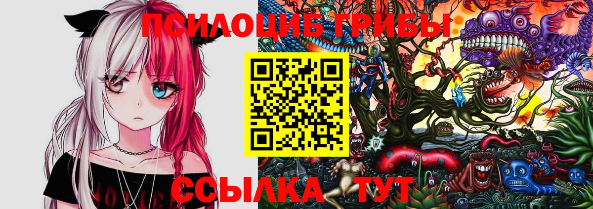 Галлюциногенные грибы MAGIC MUSHROOMS  Грязи  Галлюциногенные грибы Psilocybine cubensis 