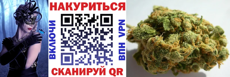 Бошки марихуана THC 21%  блэк спрут как зайти  Грязи 